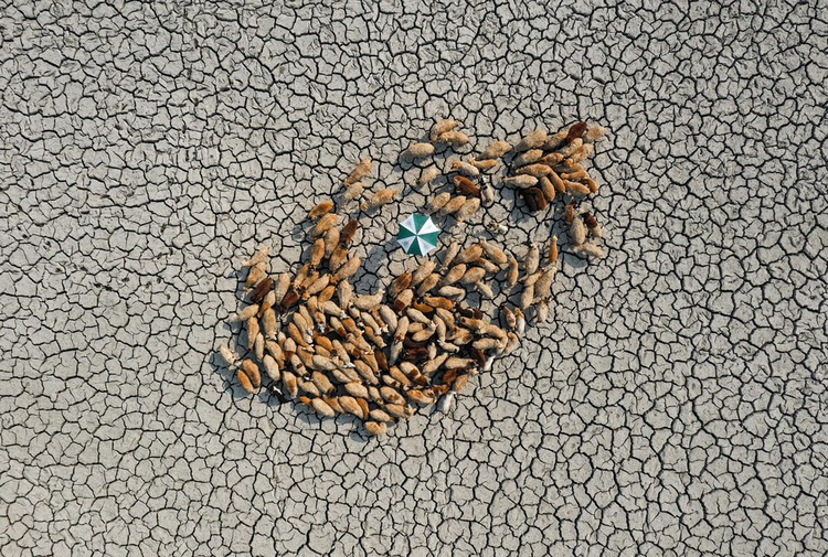 Environmental Photographer of the Year 202