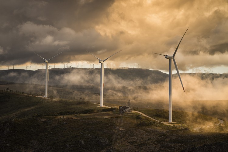 Environmental Photographer of the Year 202