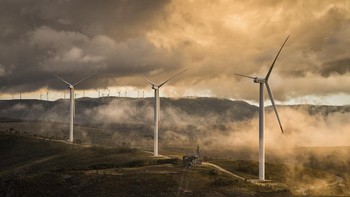 Karya finalis Pedro de Oliveira Simoes Esteves. Foto: Environmental Photographer of the Year
