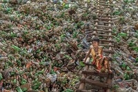 Environmental Photographer of the Year 202
