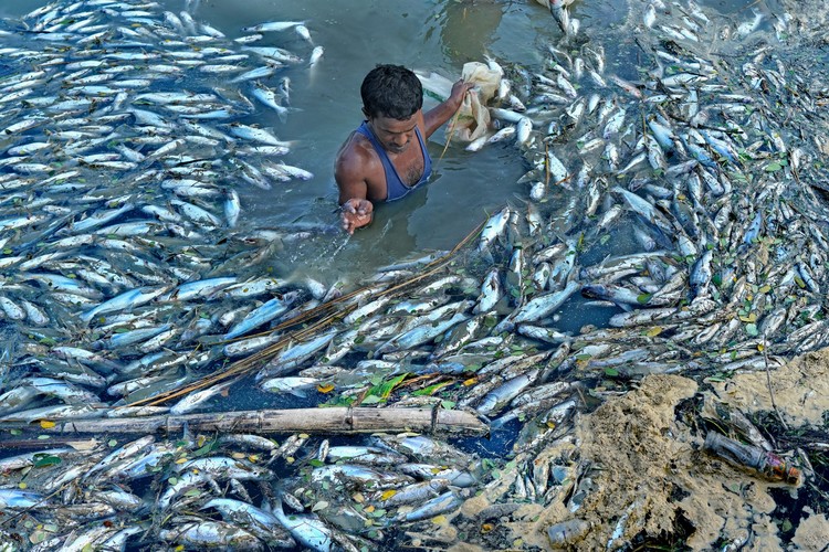 Environmental Photographer of the Year 202
