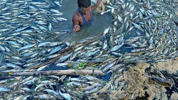 Karya finalis Subrata Dey Foto: Environmental Photographer of the Year