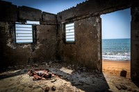 Environmental Photographer of the Year 202
