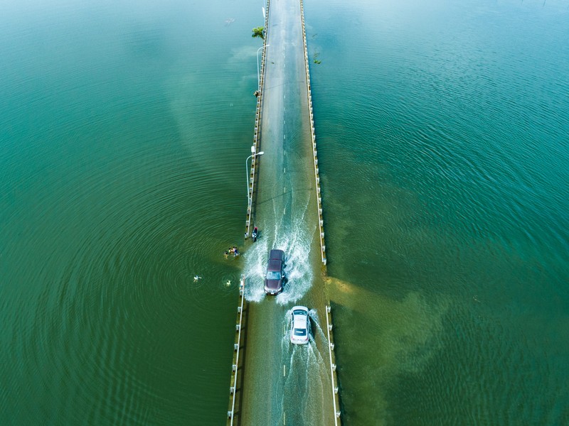 Environmental Photographer of the Year 2021