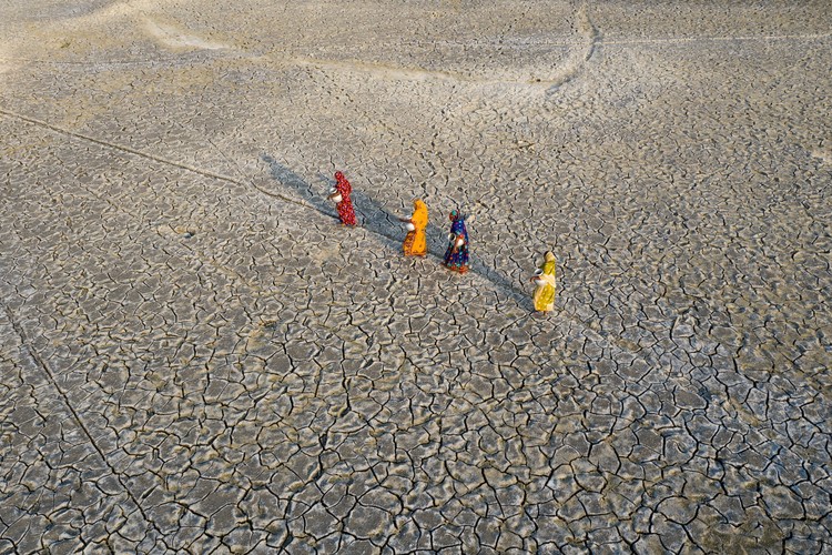Environmental Photographer of the Year 2021