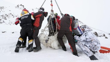 Karya finalis Grigorov Gavrill. Foto: Environmental Photographer of the Year