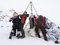 Karya Jawara Konten Foto Lingkungan Bikin Terperangah