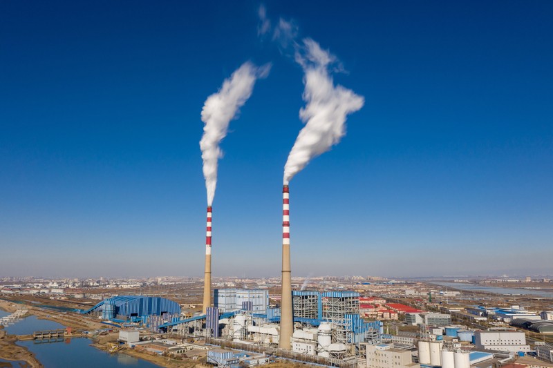 Environmental Photographer of the Year 2021