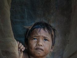 Karya Jawara Konten Foto Lingkungan Bikin Terperangah