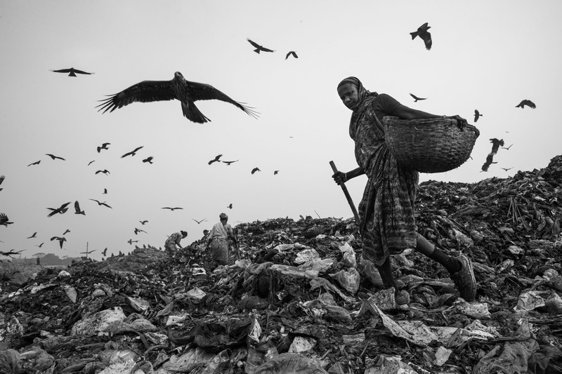 Environmental Photographer of the Year 2021