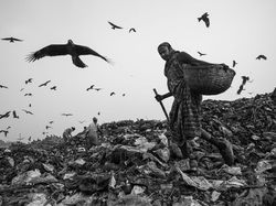 Karya Jawara Konten Foto Lingkungan Bikin Terperangah