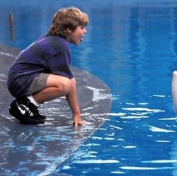 Siap Nostalgia? Warner Bros. Mau Reboot Free Willy Bareng Russo Brothers