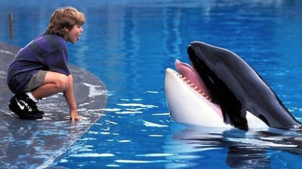 Adegan dalam film Free Willy pada 1993 lalu.