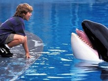 Siap Nostalgia? Warner Bros. Mau Reboot Free Willy Bareng Russo Brothers