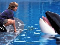 Siap Nostalgia? Warner Bros. Mau Reboot Free Willy Bareng Russo Brothers