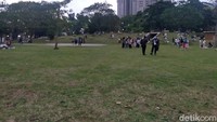 Hamparan rerumputannya begitu luas. Banyak wisatawan yang datang untuk berkumpul bareng teman atau keluarga. (Tasya Khairally/detikcom)