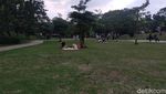 Foto: Wisata Alam di Tengah Kota Jakarta