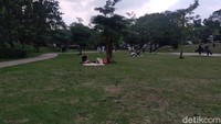 Dahulu, tempat ini merupakan lapangan golf driving range. Lalu, pada Mei 2016, Hutan Kota GBK dibangun. (Tasya Khairally/detikcom)