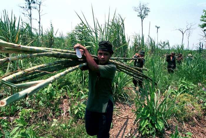 Ini Dapur Umum Pemberontak di Kolombia yang Sajikan 10 Ribu Porsi Makanan