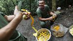 Ini Dapur Umum Pemberontak di Kolombia yang Sajikan 10 Ribu Porsi Makanan