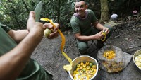 50 tahun berselang dari berdirinya dapur umum FARC, banyak sistem yang sudah berubah. Dulu dapur umum ini memiliki sistem yang setara, antara anggota pria dan wanita boleh memasak. Namun kini beberapa ditentukan dari keahlian memasak mereka. Foto: iStock/Munchies/Vice