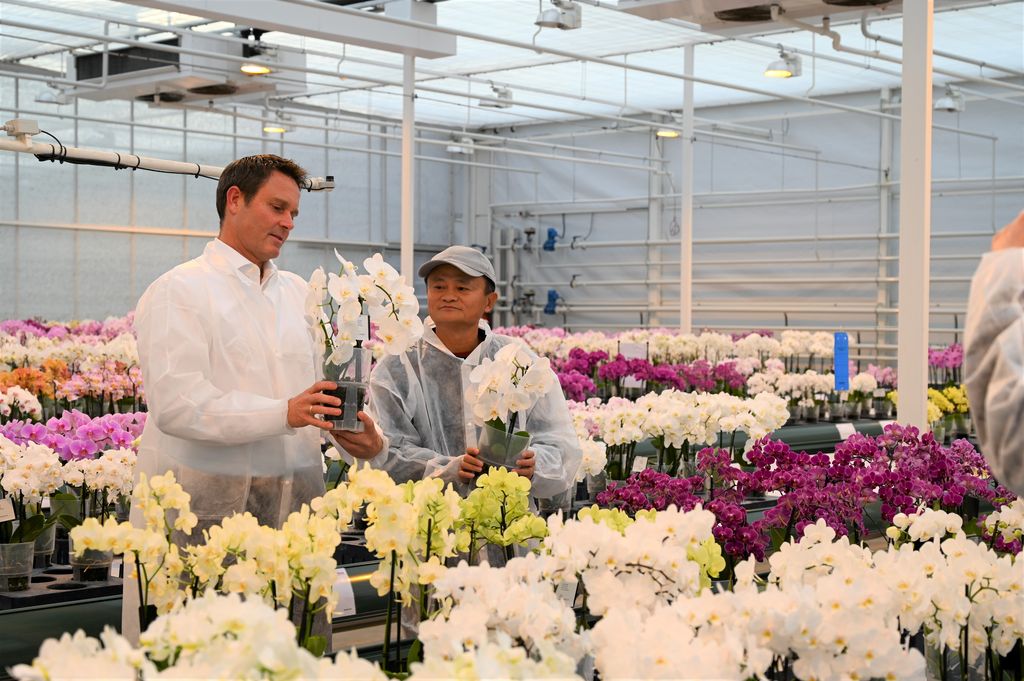 Jack Ma, pendiri Alibaba Group, mengunjungi penanam bunga Belanda Anthura di kota Bleiswijk. (via REUTERS/ANTHURA)