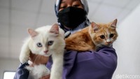 Kegiatan vaksinasi untuk hewan peliharaan ini digelar dalam rangka memperingati Hari Puspa dan Satwa Nasional.