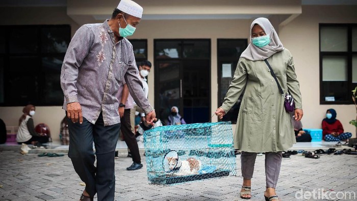 Melihat dari Dekat Vaksinasi untuk Hewan Peliharaan di Tangerang Warga membawa hewan peliharaan mereka ke klinik untuk divaksin. Vaksinasi dilakukan guna beri perlindungan pada hewan dan manusia dari dampak gigitan hewan.