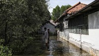 Banjir itu merendam pemukiman sejak Sabtu (6/11) lalu.