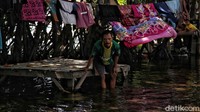 Banjir rob ini menjadi peristiwa rutin di kampung ini. Dalam setahun mereka bisa mengalami banjir rob pada bulan November dan April.