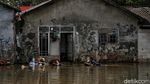 Menyapa Sembilangan, Kampung yang Jadi Langganan Banjir Rob di Bekasi