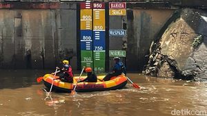 Masuki Musim Penghujan, Petugas Cek Kondisi Sungai Ciliwung