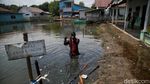 Potret Muram Sekolah di Kabupaten Bekasi yang Terdampak Banjir Rob