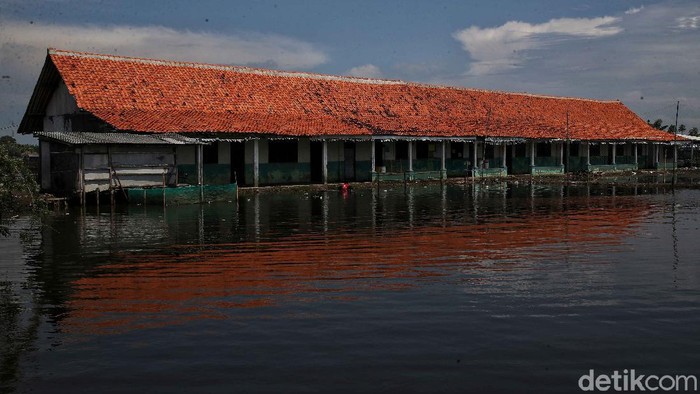 Potret Muram Sekolah di Kabupaten Bekasi yang Terdampak Banjir Rob Kondisi bangunan sekolah di kawasan Babelan, Kabupaten Bekasi, ini memprihatinkan. Dibangun sejak 2010, sekolah ini kerap diterjang banjir rob setiap tahunnya.