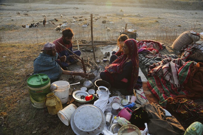 Suku yang masih berpindah-pindah, Gujjar terlihat di pinggiran jalan tol Jammu, India (9/11/2021). Suku nomaden tersebut turun dari pegunungan untuk menghindari musim dingin.