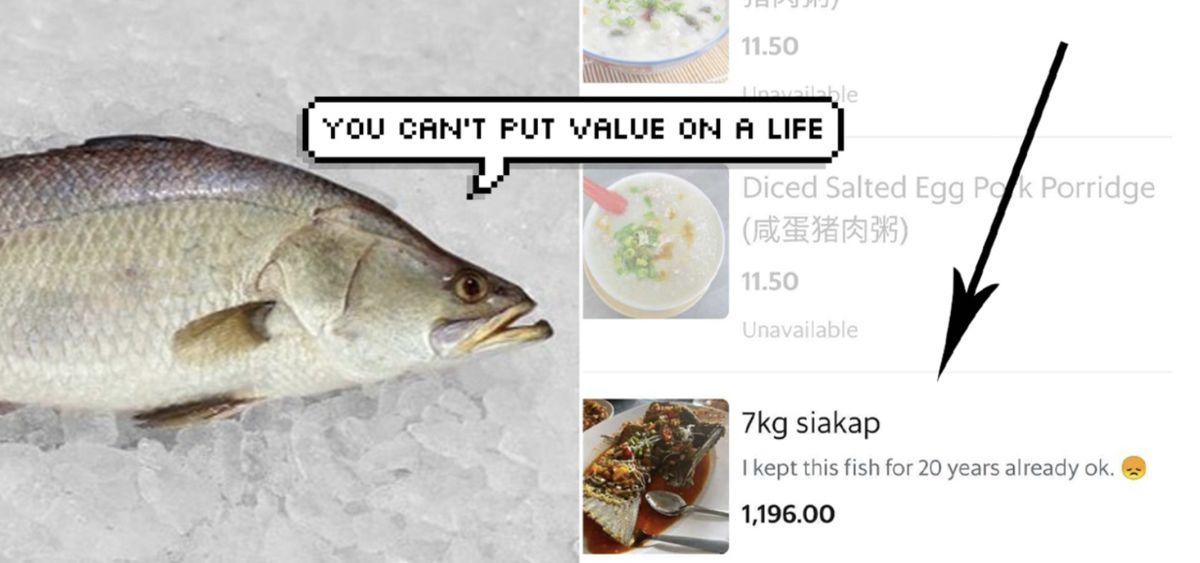Viral Ketok Harga Ikan Rp 4 1 Juta Resto Ini Jual Olahan Ikan Peliharaan 20 Tahun