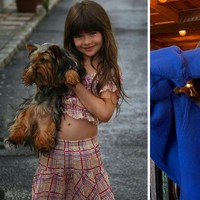 Kecantikan Malina Weissman kecil dikenal sejak membintangi Teenage Mutant Ninja Turtle. Pemeran Violet Baudelaire dalam Unfortunate Events tersebut kini semakin cantik. Aktris keturunan Amerika-Jerman kerap membagikan penampilan imutnya di Instagram. Foto: Instagram @malinaweissman