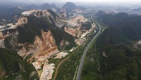 Ada banyak faktor yang membuat deforestasi di Malaysia semakin marak. Mulai dari perkebunan sawit, tambang kapur ilegal, hingga kebun durian.