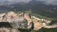Sejumlah organisasi lingkungan Malaysia mengatakan saat ini pengusaha semakin giat membabat hutan untuk membuka perkebunan raksasa.