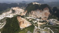 Hal ini dikhawatirkan dapat melenyapnya keanekaragaman hayati di Malaysia.