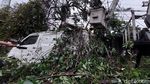 Foto-foto Mobil Tertimpa Pohon Tumbang di Bandung