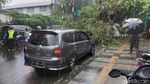 Foto-foto Mobil Tertimpa Pohon Tumbang di Bandung