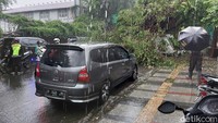 Ela warga sekitar mengungkapkan tadinya pohon tumbang ini menimpa dua mobil. Namun, mobil kedua hanya terkena reruntuhan rantingnya saja. Sedangkan mobil pertama tertimpa batang pohon.
