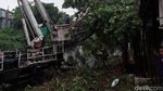 Foto-foto Mobil Tertimpa Pohon Tumbang di Bandung