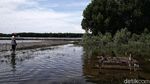 Melihat Makam-makam yang Terendam Banjir Rob di Kabupaten Bekasi