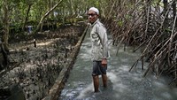 Segelumit masalah isu-isu perubahan iklim inilah yang dibicarakan para pemimpin dunia di Konferensi Perubahan Iklim PBB (COP26).  
