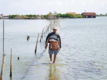 Pemerintah Didorong Bentuk Lembaga Khusus Pengelola Dana Iklim Daerah