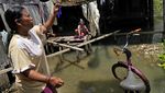 Nyata! Dampak Perubahan Iklim di Pesisir Utara Jawa