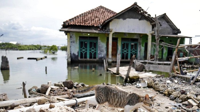 Children play near a house engulfed by sea water due to the rising sea levels in Bedono village, Central Java, Indonesia, Monday, Nov. 8, 2021. World leaders are gathered in Scotland at a United Nations climate summit, known as COP26, to push nations to ratchet up their efforts to curb climate change. Experts say the amount of energy unleashed by planetary warming would melt much of the planet's ice, raise global sea levels and greatly increase the likelihood and extreme weather events. (AP Photo/Dita Alangkara)