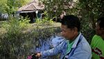 Nyata! Dampak Perubahan Iklim di Pesisir Utara Jawa